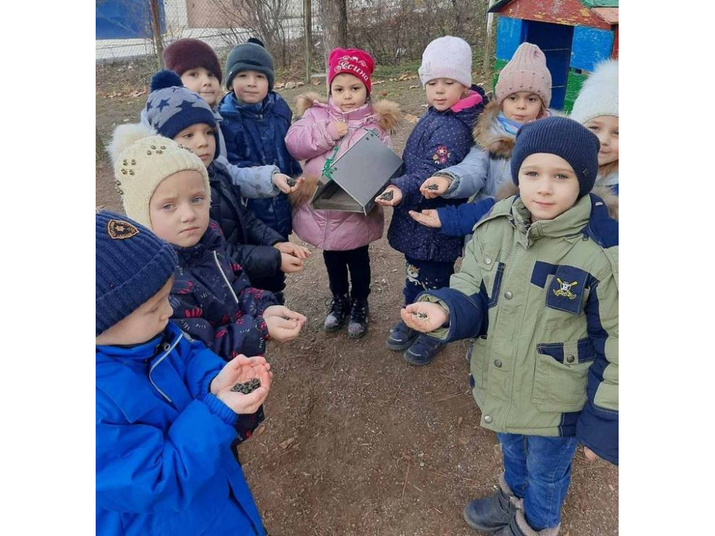 Они остались зимовать, мы им будем помогать!